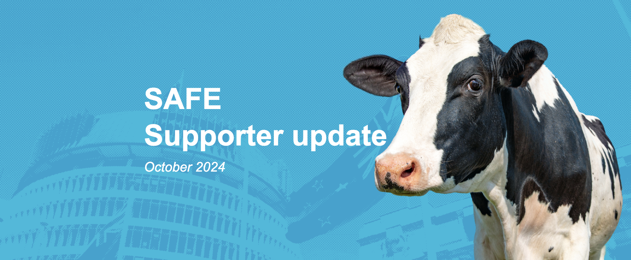 SAFE supporter update October 2024